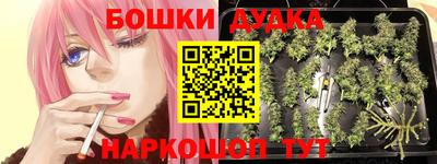 спиды Рузаевка