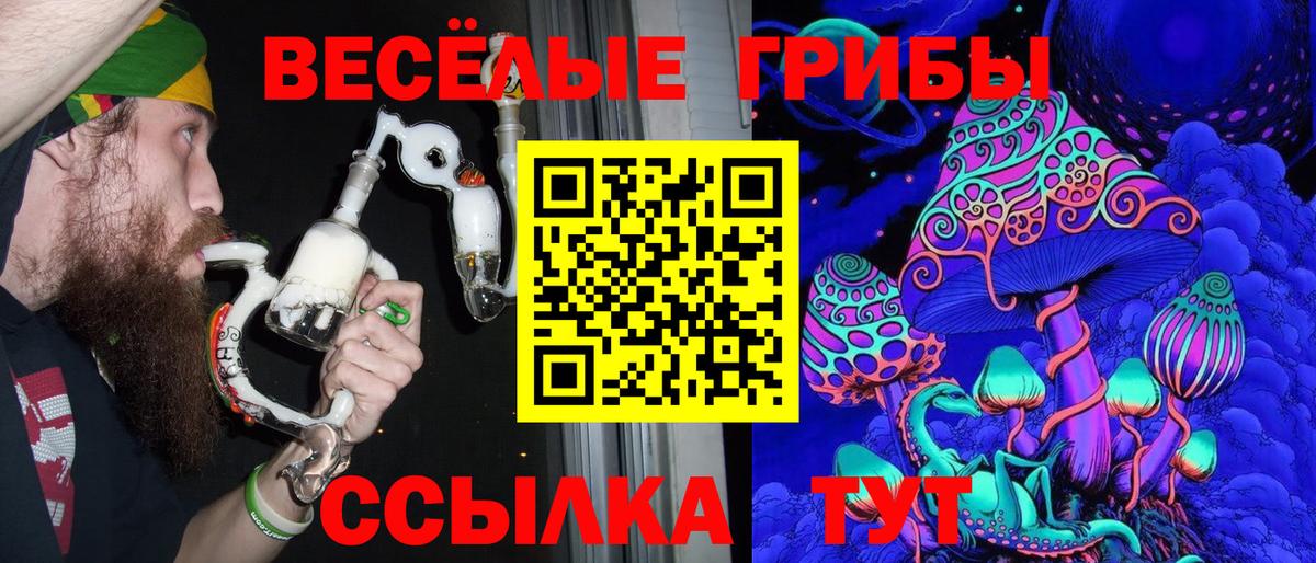 Сосновый Бор  Галлюциногенные грибы Cubensis  Вход с VPN 