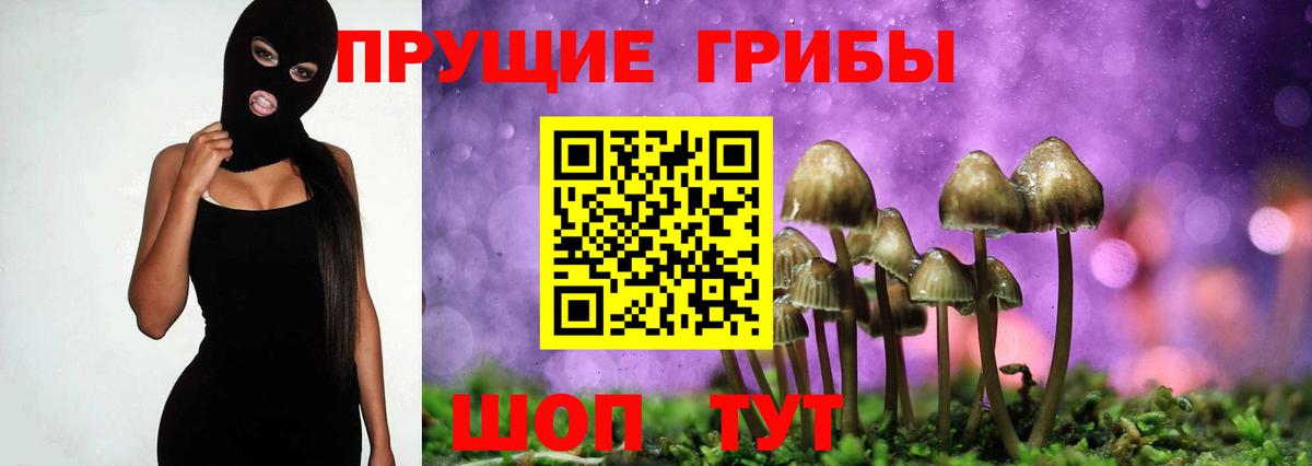 Галлюциногенные грибы Cubensis Сосновый Бор